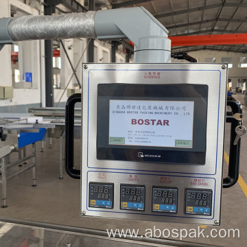 Bostar Horizontal Pillow Flow Pack Wrap Packaging Machinery